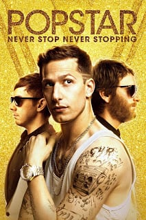 Never Stop Stopping (2016) ป๊อปสตาร์ คนมันป๊อป สต๊อปไม่ได้
