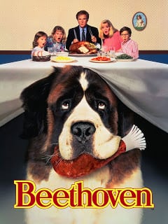 Beethoven (1992) บีโธเฟ่น ชื่อหมาแต่ไม่ใช่หมา ภาค 1