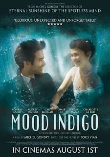 Mood Indigo (2013) รักนี้มหัศจรรย์