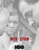 Meth Storm (2017)
