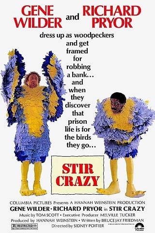 Stir Crazy (1980) บรรยายไทย