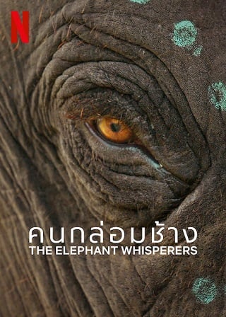 The Elephant Whisperers | Netflix (2022) คนกล่อมช้าง